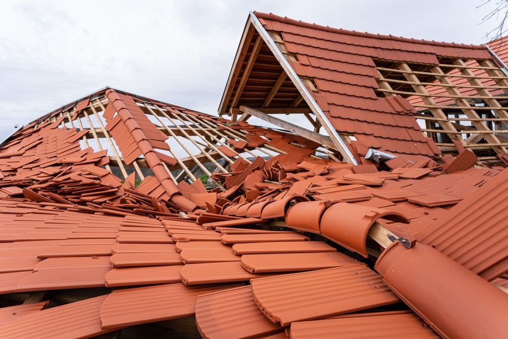 What to Do If You Have Storm Damage