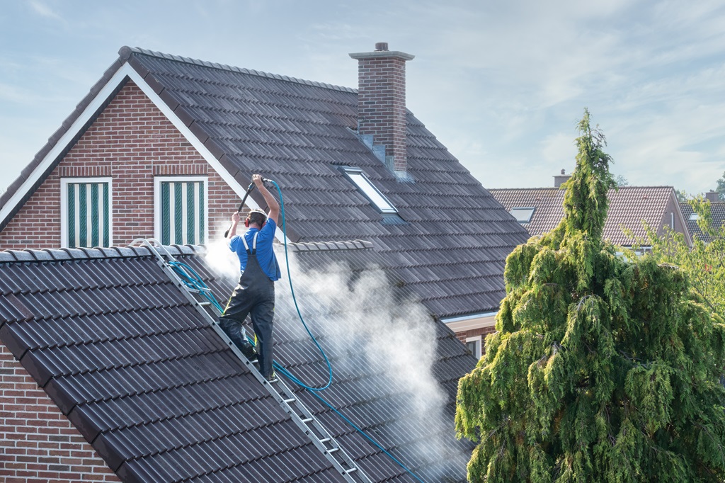 Best Time of Year to Have a Roof Cleaned