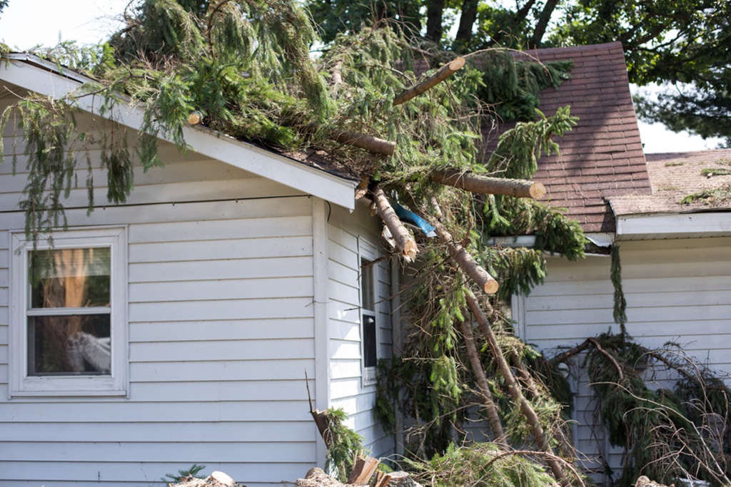 Top 5 Signs of Storm Damage to Your Roof